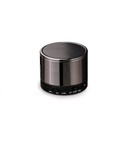 SYNTH. Altoparlante portatile con microfono